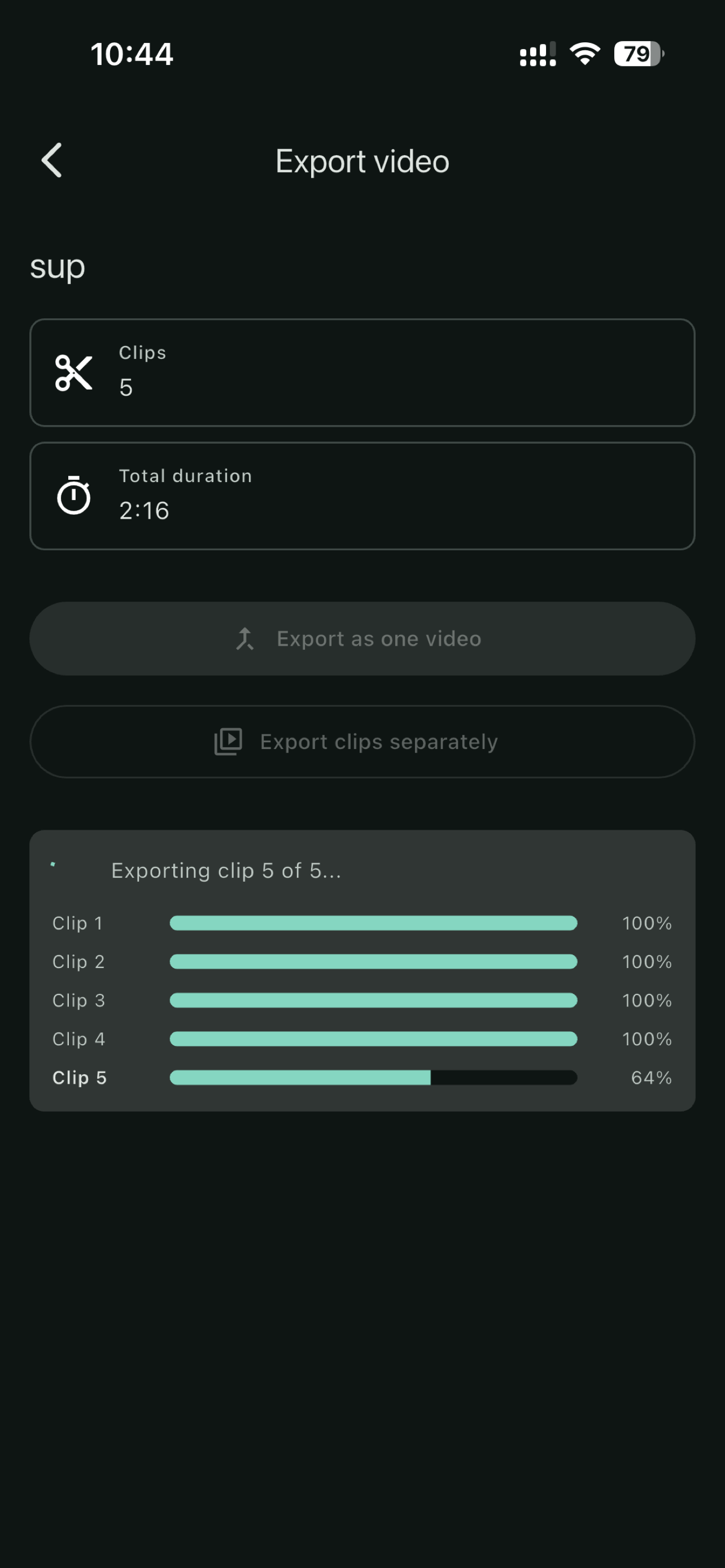 Trim Forge export screen